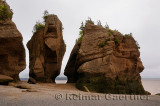 Large Flower Pot sea stacks at low tide at Hopewell Rocks Bay of Fundy New Brunswick