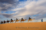 Tuareg blue Berber man leading a group of tourists on camels to the Erg Chebbi desert in Morocco
