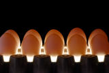 70 Backlit eggs 1.jpg