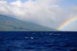 81 Rainbow touching Molokai.jpg