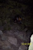 100_1268.JPG