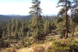 100_1327.JPG