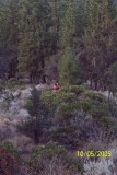 100_1473.JPG