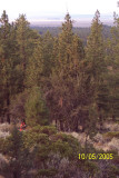 100_1474.JPG