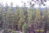 100_1476.JPG