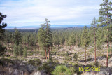 100_1485.JPG