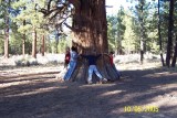 100_1495.JPG