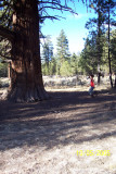 100_1497.JPG