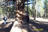 100_1500.JPG