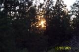 100_1520.JPG