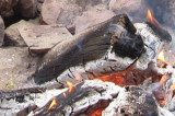 138.JPG