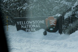 Yellowstone Park Snow Coach Tour 09