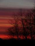November 21, 2008<br><font size=2>Shabby Darkness</font>