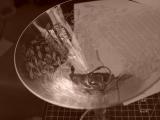 January 27, 2005<br><font size=2>Stop the world from spinning</font><br>Day 266