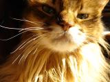 March 17, 2006<br><font size=2>My Green-Eyed Boy</font>