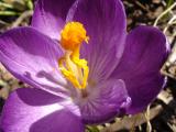 DSC01706.JPG