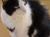 DSC01668.JPG
