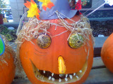 Boo ~ October 31st