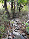 Old Farm Wall ~ November 5th