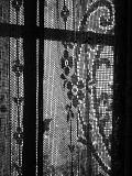 March 13th -  window curtain