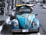 Beach Bug ~ March 15th