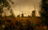 Kinderdijk