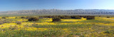 Chap. 7-43, Carrizo Plain Pano
