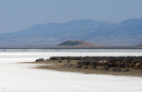Soda Lake