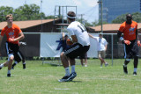 Browns_010.jpg