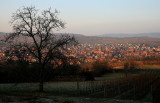 Rosheim