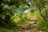 Walking the path that follows the crest, 1300 m alt.