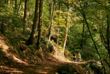 nice stroll...