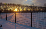 sun shining behind fences