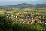 surrounded by vineyards