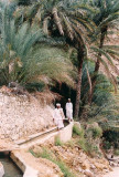 Wadi Bani Khalid