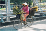 Trang Tien bridge