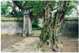 Tu Duc Tomb, Hue