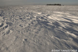 Natures Wind Blown Snow Sculptures