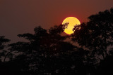 Setting Sun