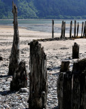 Remnants of Past Civilization! Juneau