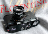 Leica MP with Elmar 50/f2.8