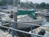 MARGO III 22 13 1984
