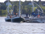 docked at Lunenburg YC