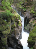 IMG_9989 Gorges encaiss‚es du torrent de Tr‚-la-Tˆte_1.JPG