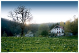 GERARDMER.FARM behind my Home