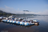 Lac de GERARDMER in the Morning