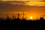 Sunset over Hastings fishing boats