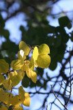 wq0570.JPG