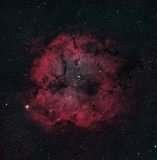 IC1396  Natural color