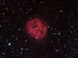 Cocoon Nebula 